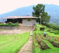 250g Café En Grain Bio La Esperanza - Cafés Lugat 9 250g Café En Grain Bio La Esperanza - Cafés Lugat -Maxicoffee cafe grains esperanza colombie 3