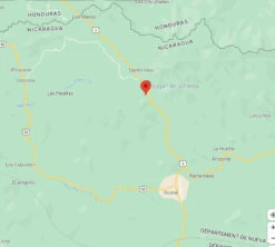 4x250g Café En Grain Nicaragua Don Olman - Cafés Lugat -Maxicoffee cafeengraincafeslugatdipilto