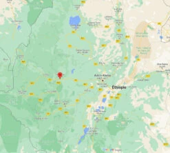 4x250g Café En Grain Bio - Ethiopie Moka Nekemte - CAFES LUGAT 7 4x250g Café En Grain Bio - Ethiopie Moka Nekemte - CAFES LUGAT -Maxicoffee cafeengraincafeslugatethiopie