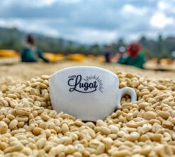 1 Kg Café En Grain Le Dark'n Sweet - Cafés Lugat -Maxicoffee cafeengraincafeslugatmarque