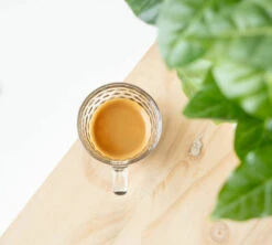 1kg Café En Grain Bio Mélange Savanah - GREEN LION COFFEE -Maxicoffee cafeengraingreenlioncoffeeexpresso 3