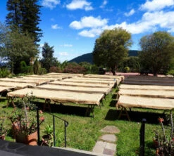 250 G- Café En Grain La Cumbre - LE PIANTAGIONI DEL CAFFE -Maxicoffee cafeengrainlpdclacumbre1