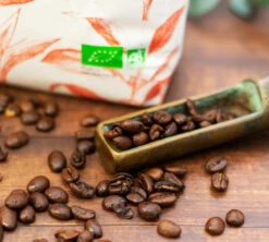 500g Café En Grain Bio Mexique Maison Taillefer 5 500g Café En Grain Bio Mexique Maison Taillefer -Maxicoffee cafeengrainmaisontaillefermexiquepackshot 3