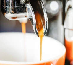 1 Kg Café En Grain Purissima - Perléo Espresso 21 1 Kg Café En Grain Purissima - Perléo Espresso -Maxicoffee cafeengrainperleoespressopurissimaextraction