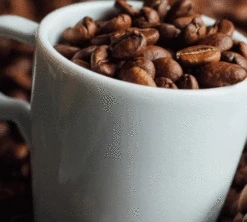 1kg Café En Grain Intermezzo - SEGAFREDO 6 1kg Café En Grain Intermezzo - SEGAFREDO -Maxicoffee cafeengrainsegafredointermezzo1kg