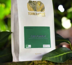 250g Café En Grain Bio The Forest - Terres De Café -Maxicoffee cafeengrainterresdecafetheforestcafedeforet250g