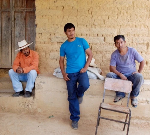 Café En Grains Bio : Mexique - Sueño - Décaféiné à L'eau - 1Kg - Cafés Lugat 4 Café En Grains Bio : Mexique - Sueño - Décaféiné à L'eau - 1Kg - Cafés Lugat – Image 2