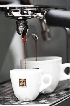 Café En Grains 100% Arabica Black Of Italy Zicaffè 3kg 5 Café En Grains 100% Arabica Black Of Italy Zicaffè 3kg -Maxicoffee espresso zicaffe 1