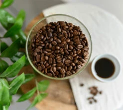 500g Café En Grain Bio Monsieur Albert - TERRAMOKA -Maxicoffee illustrationterra