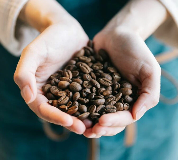 Café En Grains Brûlerie Du Cantin - Mélange Dégustation 100% Arabica - 250gr 5 Café En Grains Brûlerie Du Cantin - Mélange Dégustation 100% Arabica - 250gr – Image 3