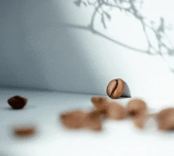 500g Café En Grain Bio Moka D'Ethiopie - CAFES RICHARD -Maxicoffee specialtycoffee